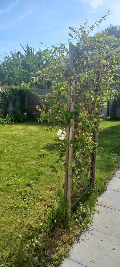 Au Gre Des Vents Bed & Breakfast Saint-Quay-Portrieux Bagian luar foto